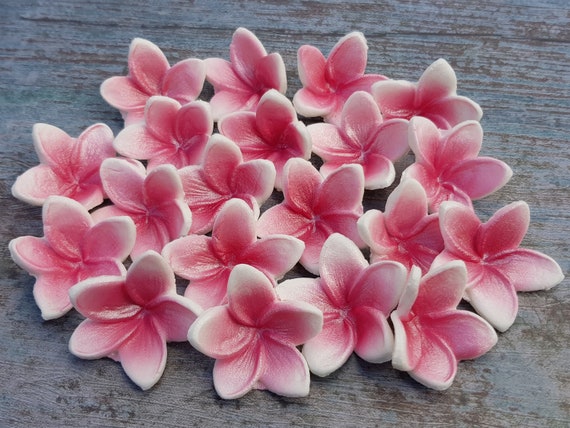 Sugarpaste flower PINK FRANGIPANI PLUMERIA edible sugar cupcake topper