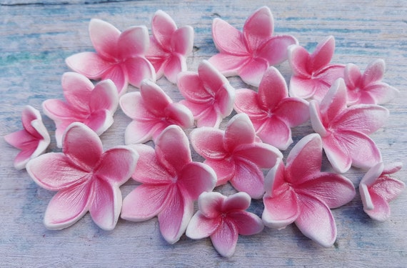 Sugarpaste flower PINK FRANGIPANI PLUMERIA edible sugar cupcake topper