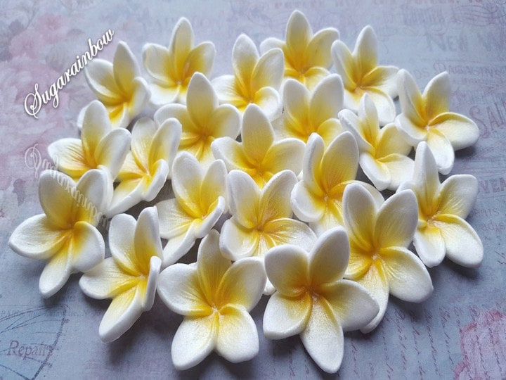 20 Edible Sugar Frangipani Plumeria Flowers Cake Cupcake Etsy