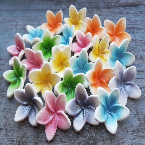 20 Edible Sugar Frangipani Plumeria flowers Cake Cupcake Etsy