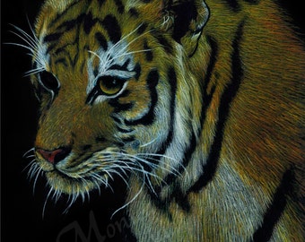 Tiger Illustration, Animal Portrait Art Print, Pencil Crayon Drawing, Wildlife Poster, Wall Hanging, Tiger Wall Decor, Black Orange