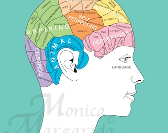 Phrenology Art Print, Picture Good Health, Brain Diagram, Woman Poster, Modern Digital Art, 8x10 16x20, Woman illustration, Minimal Art