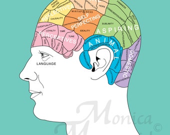 Picture Good Health Art Print, Head Drawing, Man Illustration, Phrenology Poster, Brain Illustration, Blue White, Modern Art, 8x10 16x20