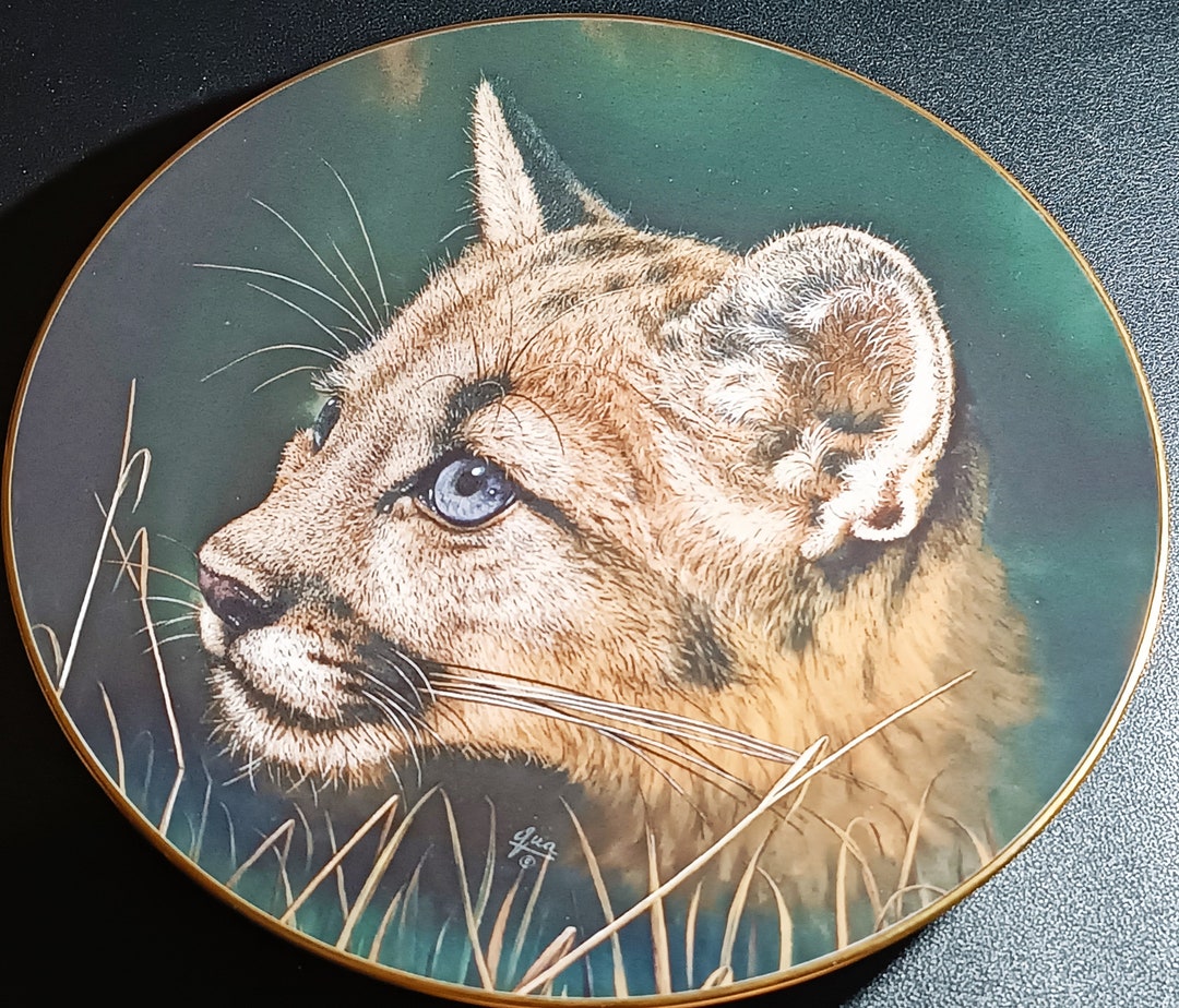 Limited Edition Princeton Gallery Qua Cubs Of The Big Cats Collection Cougar Cub Plate By