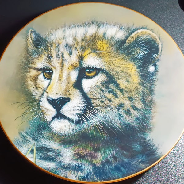 Limited Edition Princeton Gallery Qua  - Cubs Of The Big Cats Collection ' Cheetah Cub Plate ' by Qua decorative plates