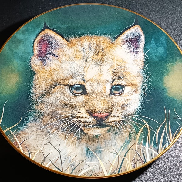 Limited Edition Princeton Gallery Qua  - Cubs Of The Big Cats Collection ' Lynx Cub Plate ' by Qua decorative plates