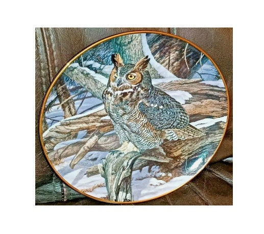 Vintage Limited Edition Danbury Mint Winter Watch Owl Bird of Prey Plate From The Owls of North Ame