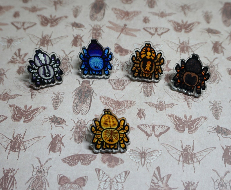 May include: Five colorful spider brooches with different designs. The brooches are made of resin and have a glossy finish. The spiders are in various colors, including blue, yellow, black, and white.