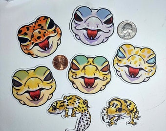 Leopard gecko stickers