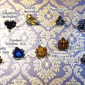 May include: A collection of eight colorful, hand-painted resin pins featuring different types of spiders and scorpions. The pins are labeled with their common names, including Emperor scorpion, Bark scorpion, Vinegaroon, Whipspider, P. sazimai Brazilian blue, Brach. Smithi Mexican red knee, OBT, Hapalopus sp. Colombia Pumpkin patch, and P. regalis Indian ornamental.