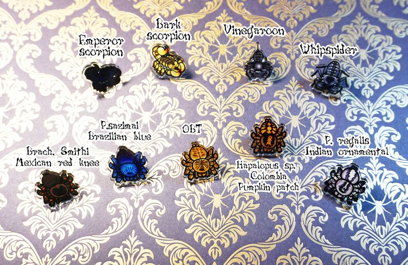 May include: A collection of eight colorful, hand-painted resin pins featuring different types of spiders and scorpions. The pins are labeled with their common names, including Emperor scorpion, Bark scorpion, Vinegaroon, Whipspider, P. sazimai Brazilian blue, Brach. Smithi Mexican red knee, OBT, Hapalopus sp. Colombia Pumpkin patch, and P. regalis Indian ornamental.
