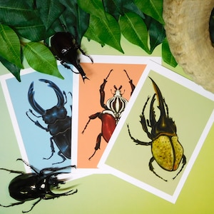 Beetle prints