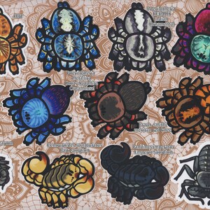 Arachnid stickers image 2