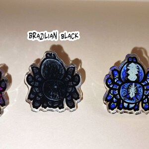 May include: Three clear acrylic pins featuring a spider design. The spiders are in different colors: pink, black, and blue. The pins are about the size of a US quarter.