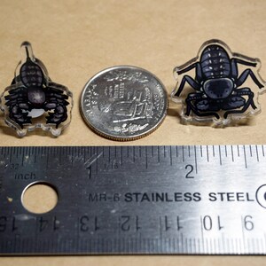 May include: Three black and white scorpion pins on a brown surface with a ruler for scale. The pins are made of clear acrylic with a printed image of a scorpion.