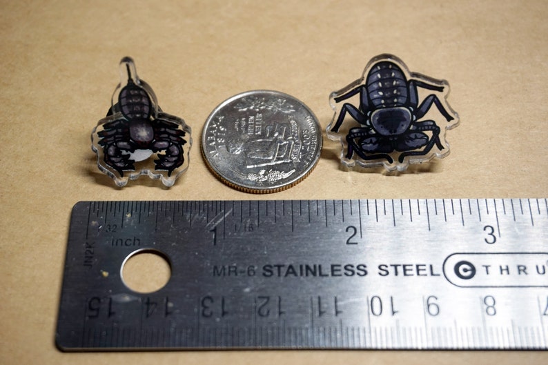 May include: Three black and white scorpion pins on a brown surface with a ruler for scale. The pins are made of clear acrylic with a printed image of a scorpion.