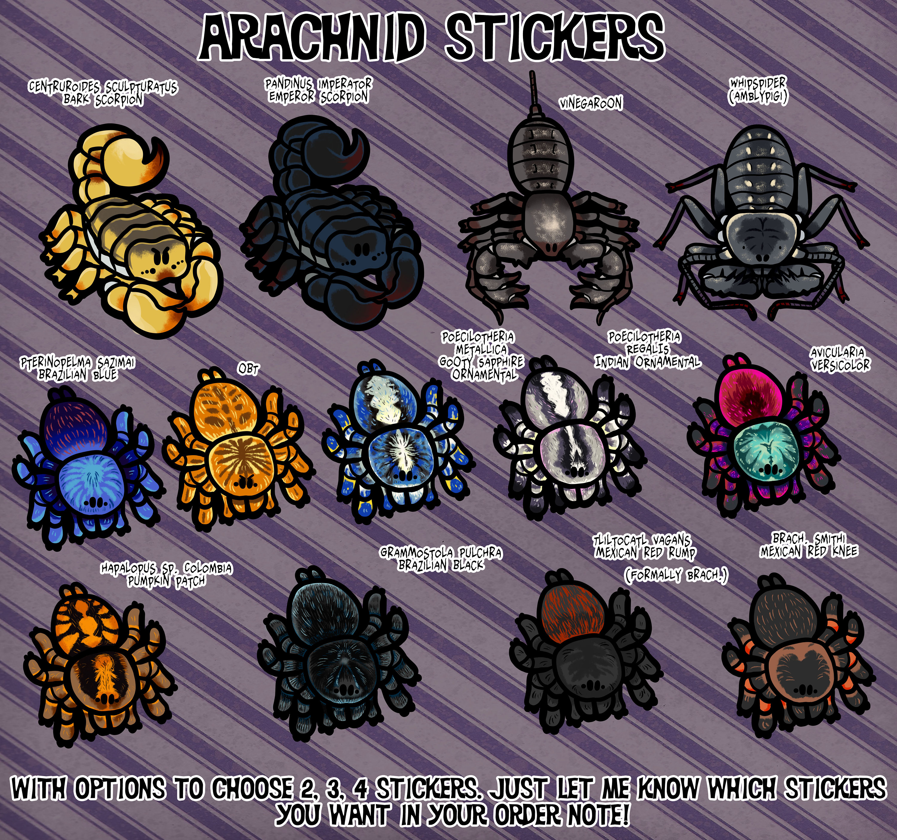 Arachnid stickers