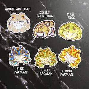 Matte and Holographic Frog & toad vinyl stickers