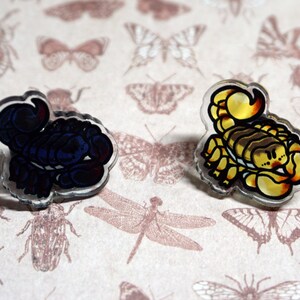 May include: Two clear acrylic pins featuring cartoon scorpions. One scorpion is blue and the other is yellow.