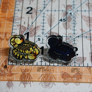 May include: Two small, clear, plastic scorpion charms. One is gold and the other is blue.