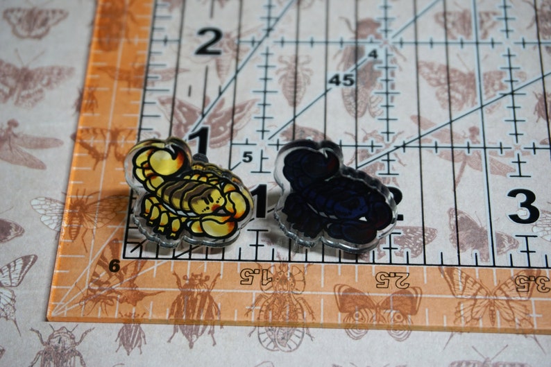 May include: Two small, clear, plastic scorpion charms. One is gold and the other is blue.