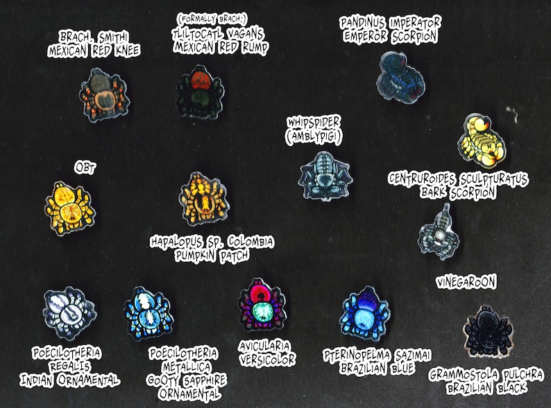 May include: A collection of colorful spider and scorpion pins with their common names. The pins are arranged in a grid pattern on a black background.
