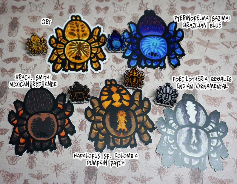 Arachnid stickers image 6