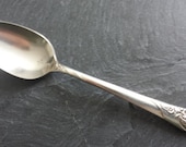Vintage COMMUNITY 1950 EVENING STAR Teaspoon 6 1 8 quot , Set of 10