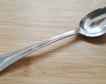 May include: A silver teaspoon with an ornate handle. The spoon has a rounded bowl and a long, slender handle with a decorative pattern.