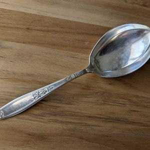 May include: A silver serving spoon with an ornate design on the handle. The spoon has a rounded bowl and a polished finish.