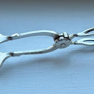 Pode incluir: Pinças de servir prateadas com um design decorativo de espigas de trigo e uma dobradiça no meio.