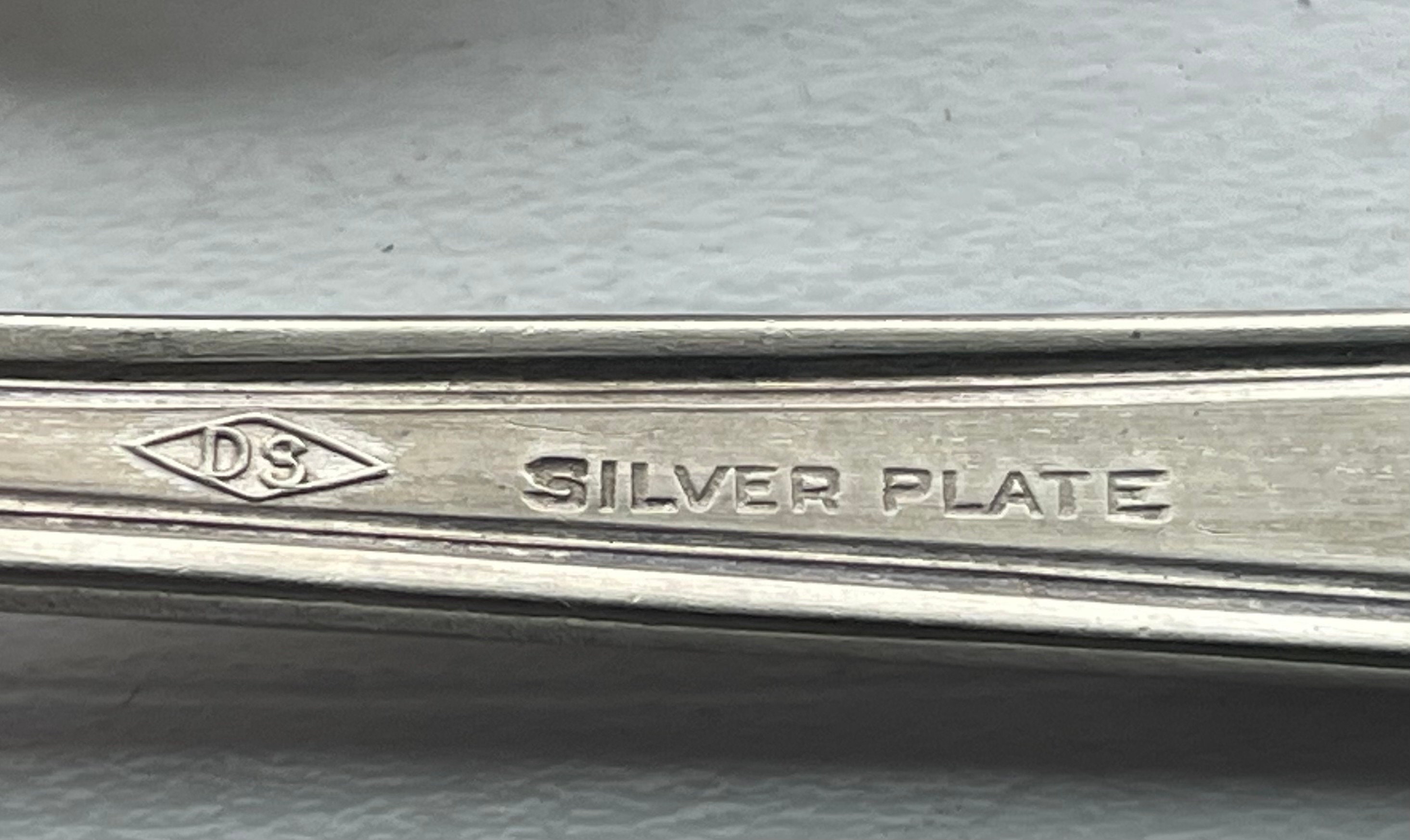 Amazing Antique D.S. SILVER Co. 