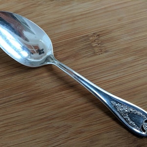 May include: A silver spoon with an ornate handle. The handle has a floral design with a small, round accent.