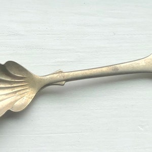 May include: A silver sugar spoon with a scalloped bowl and a plain handle.
