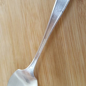 May include: A silver spoon with a rounded bowl and a long, slender handle. The handle has the inscription "International Silver Co." on it.