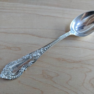 May include: A silver spoon with an ornate handle and a rounded bowl. The spoon has a beaded design along the handle.