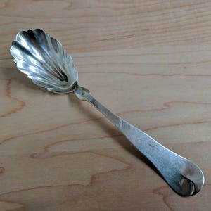 May include: A silver sugar spoon with a scalloped bowl and a long, slender handle.