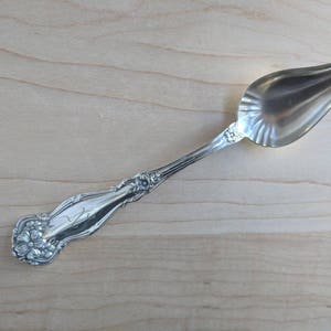 Antique Wm Rogers & Son 1908 ARBUTUS Gold Wash Shell Bowl Orange/Fruit Spoon 6&quot; Mono N, Set of 5