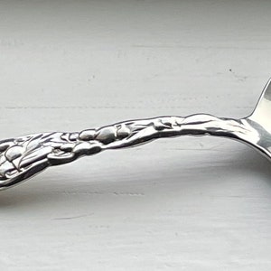 May include: A silver spoon with an ornate, floral design on the handle. The bowl of the spoon is round and smooth.