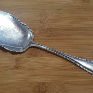 May include: A silver cake server with a beaded edge and a slightly curved handle.
