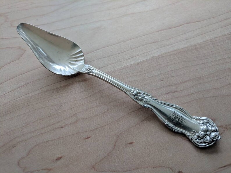 Mono J M C Antique Wm Rogers /& Son 1908 ARBUTUS Shell Bowl Individual PapFruit Spoon 6