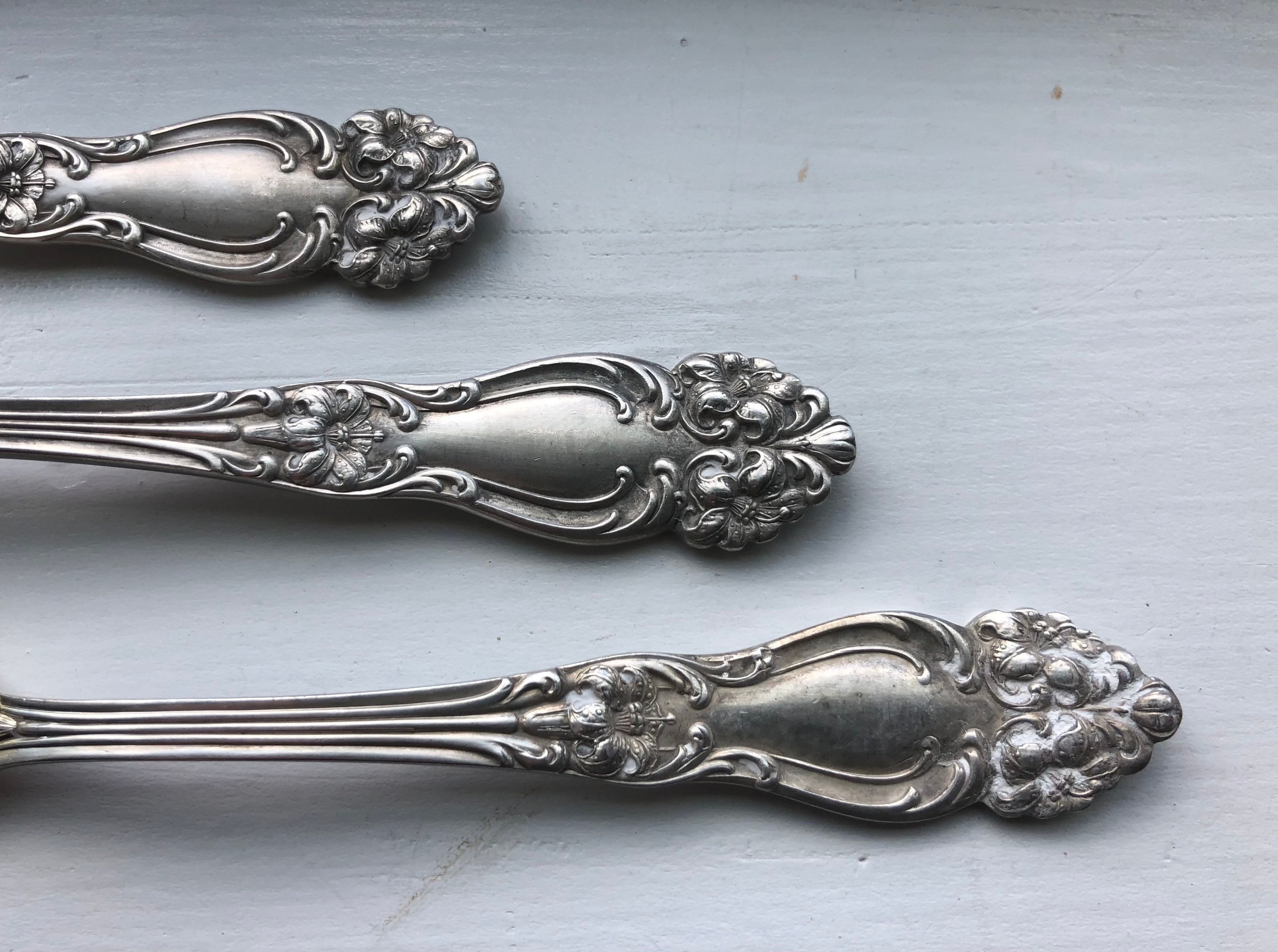 希少なアンティーク リード&バートン 1901 TIGER LILY/FESTIVITY