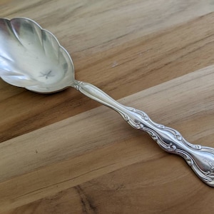 Può includere: Un cucchiaino da zucchero d'argento con un manico decorato e una ciotola a forma di conchiglia.