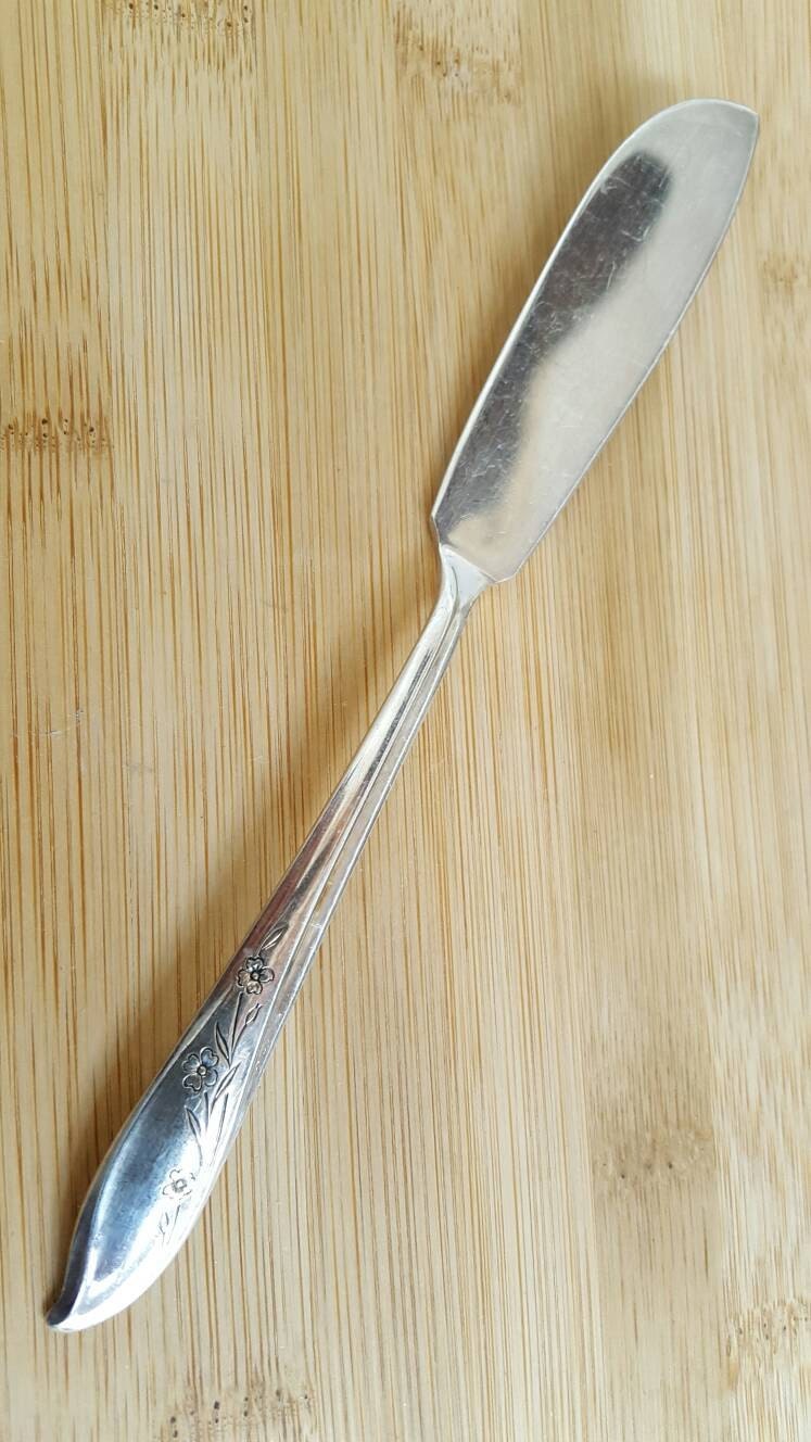 Vintage 1847 ROGERS Bros 1957 SPRINGTIME Flat Handle Master Butter