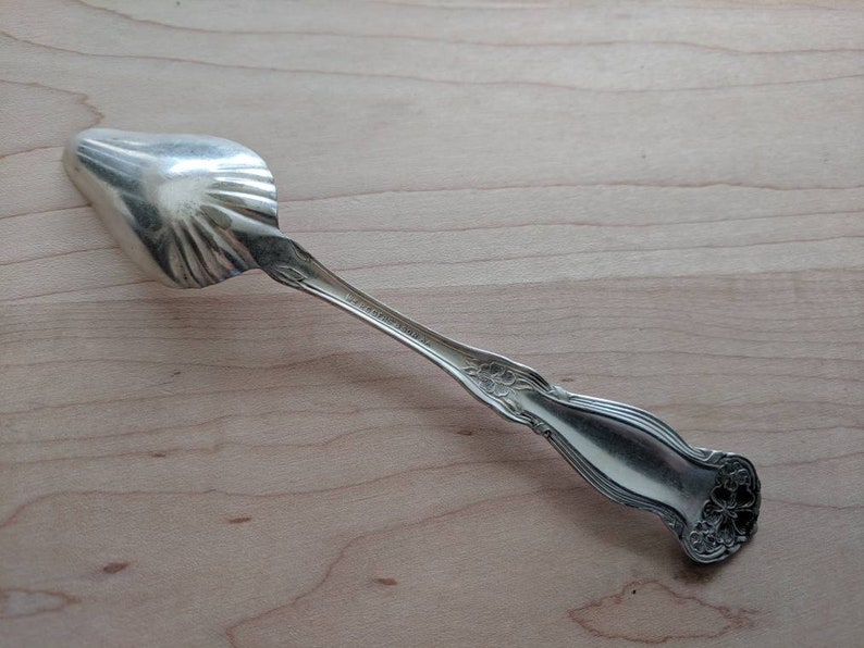 Mono J M C Antique Wm Rogers /& Son 1908 ARBUTUS Shell Bowl Individual PapFruit Spoon 6