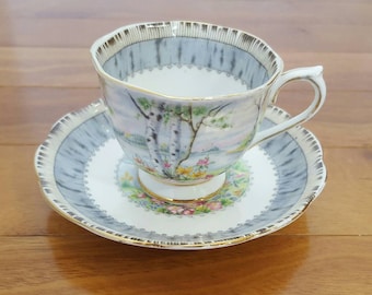 Collectible Royal Albert SILVER BIRCH Footed Tea Cup & Saucer Set, England