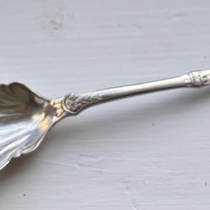 Puede incluir: Una cuchara de azúcar de plata con un cuenco decorativo con forma de concha y un mango detallado.