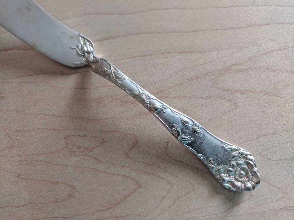 Antique 1877 NIAGARA Falls Silver 1904 WILD ROSE Flat Handle