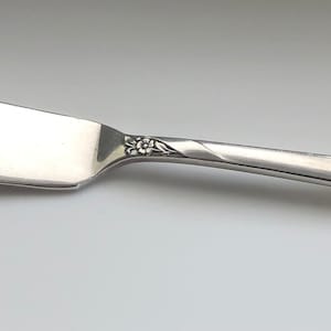 Puede incluir: Un cuchillo de mantequilla de plata con un diseño floral ornamentado en el mango.