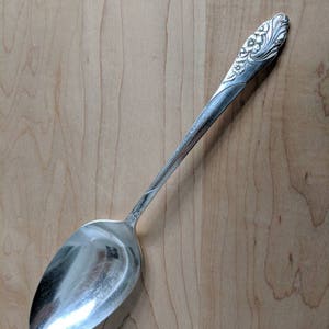 Puede incluir: Una cuchara de plata con un diseño floral en el mango. La cuchara está sobre una superficie de madera.